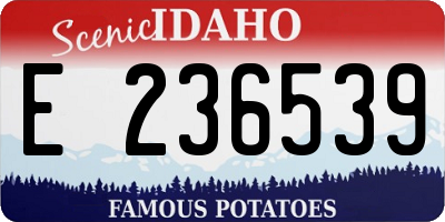 ID license plate E236539