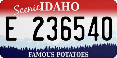 ID license plate E236540
