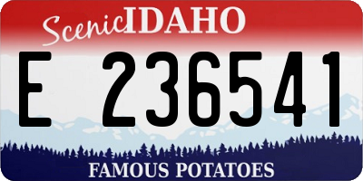 ID license plate E236541