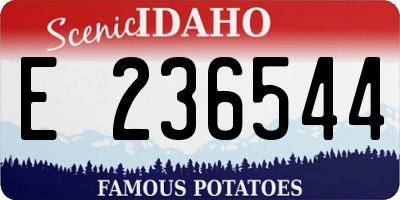 ID license plate E236544