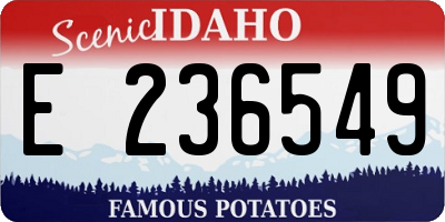 ID license plate E236549