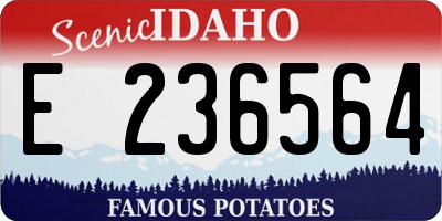 ID license plate E236564