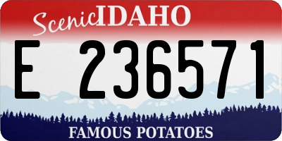ID license plate E236571