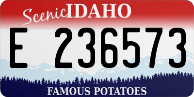 ID license plate E236573