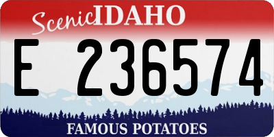 ID license plate E236574