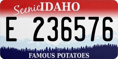ID license plate E236576
