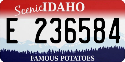 ID license plate E236584