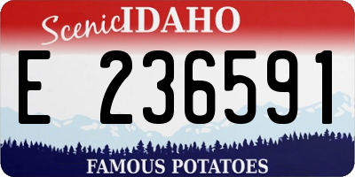 ID license plate E236591