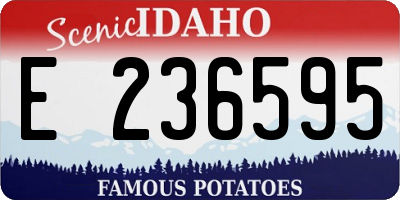ID license plate E236595