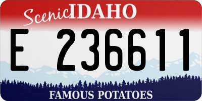 ID license plate E236611