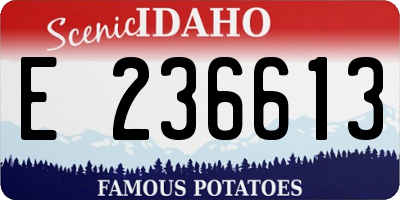 ID license plate E236613