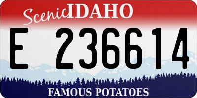 ID license plate E236614