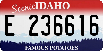 ID license plate E236616