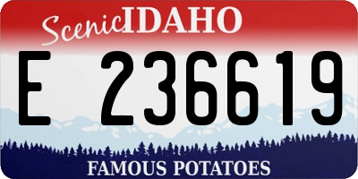 ID license plate E236619