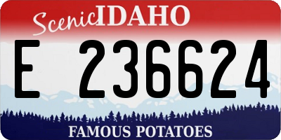 ID license plate E236624