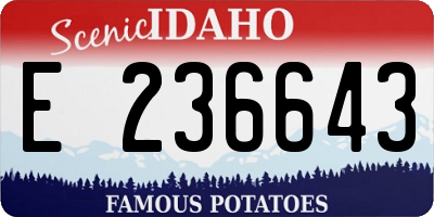 ID license plate E236643