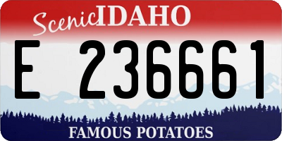 ID license plate E236661