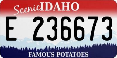 ID license plate E236673