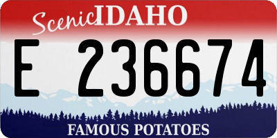 ID license plate E236674