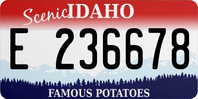 ID license plate E236678
