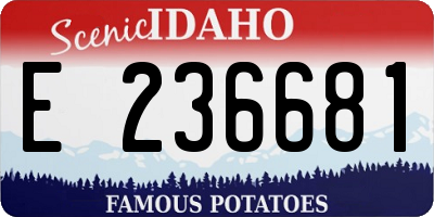 ID license plate E236681