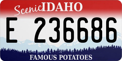 ID license plate E236686