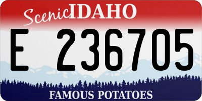 ID license plate E236705