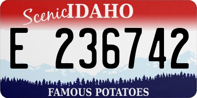 ID license plate E236742