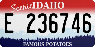 ID license plate E236746