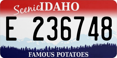 ID license plate E236748