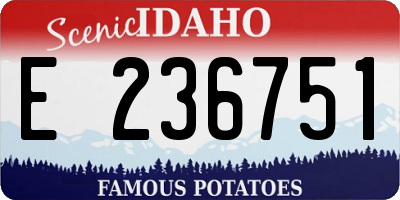 ID license plate E236751