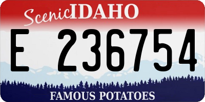 ID license plate E236754