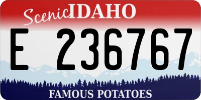 ID license plate E236767