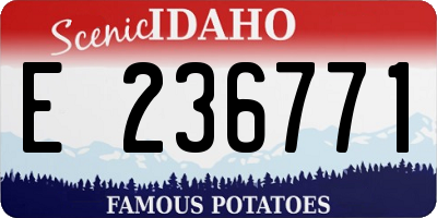 ID license plate E236771