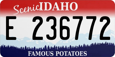 ID license plate E236772
