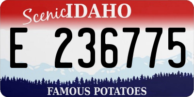 ID license plate E236775