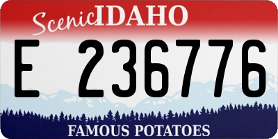 ID license plate E236776