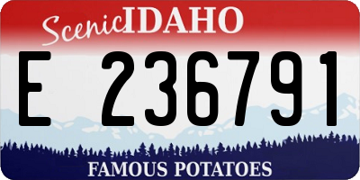 ID license plate E236791