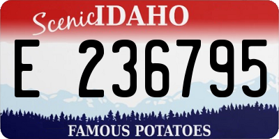 ID license plate E236795