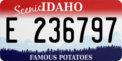 ID license plate E236797