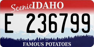 ID license plate E236799