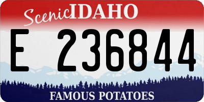 ID license plate E236844