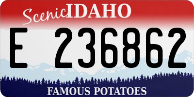ID license plate E236862