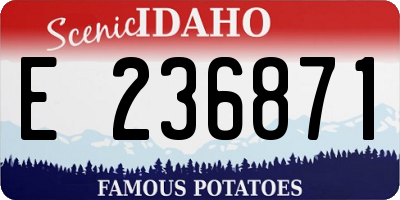 ID license plate E236871