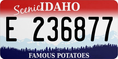ID license plate E236877