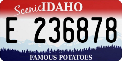ID license plate E236878