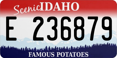 ID license plate E236879