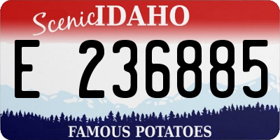 ID license plate E236885