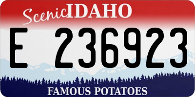 ID license plate E236923