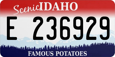 ID license plate E236929